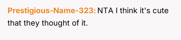 Prestigious-Name-323 NTA I think it's cute that they thought of...