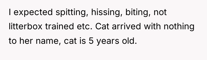 I expected spitting, hissing, biting, not litterbox trained etc. Cat...