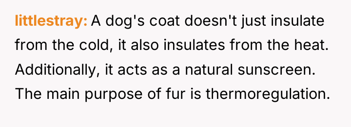 littlestray A dog's coat doesn't just insulate from the cold,...
