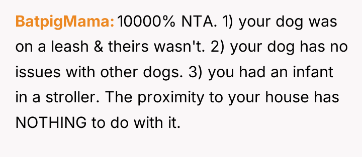 BatpigMama 10000% NTA. 1) your dog was on a leash...