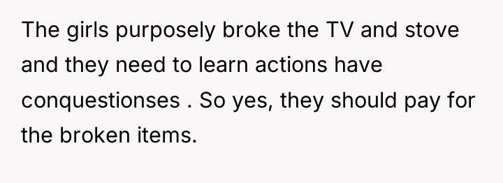 The girls purposely broke the TV and stove and they...