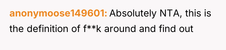 anonymoose149601 Absolutely NTA, this is the definition of f**k around...