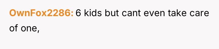 OwnFox2286 6 kids but cant even take care of one,