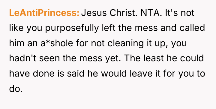 LeAntiPrincess Jesus Christ. NTA. It's not like you purposefully left...