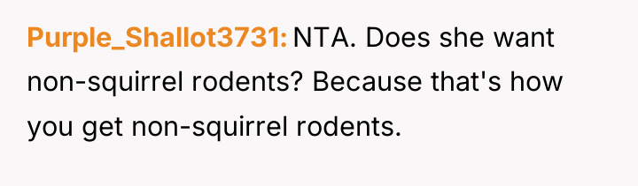 Purple_Shallot3731 NTA. Does she want non-squirrel rodents? Because that's how...