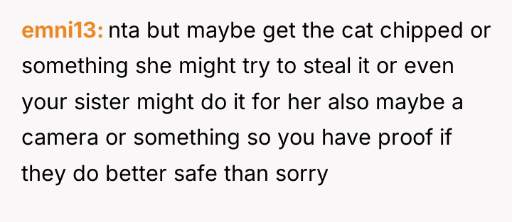 emni13 nta but maybe get the cat chipped or something...