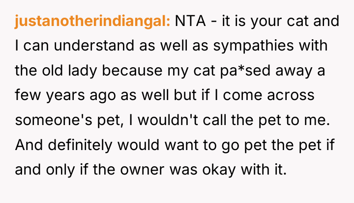 justanotherindiangal NTA - it is your cat and I can...