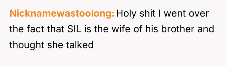 Nicknamewastoolong Holy shit I went over the fact that SIL...
