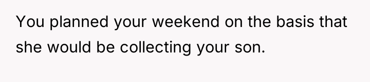 You planned your weekend on the basis that she would...