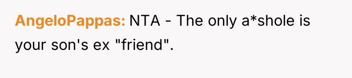 AngeloPappas NTA - The only a*shole is your son's ex...