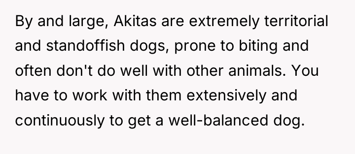 By and large, Akitas are extremely territorial and standoffish dogs,...