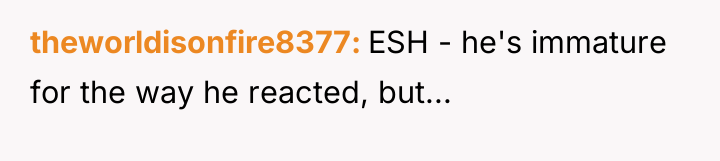 theworldisonfire8377 ESH - he's immature for the way he reacted,...