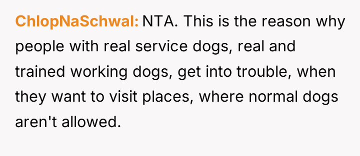 ChlopNaSchwal NTA. This is the reason why people with real...