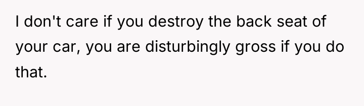 I don't care if you destroy the back seat of...