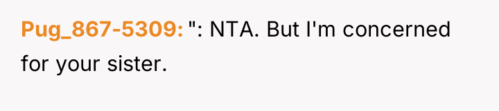 Pug_867-5309 ": NTA. But I'm concerned for your sister.