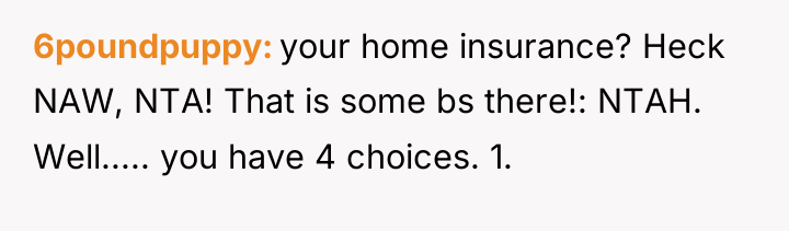 6poundpuppy your home insurance? Heck NAW, NTA! That is some...