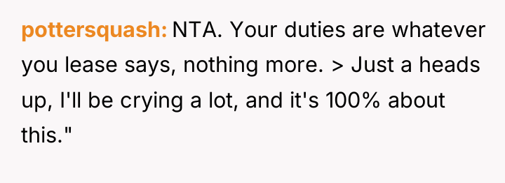 pottersquash NTA. Your duties are whatever you lease says, nothing...
