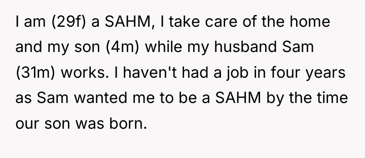 I am (29f) a SAHM, I take care of the...