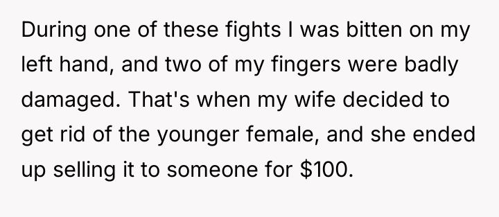 During one of these fights I was bitten on my...