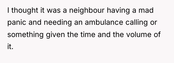 I thought it was a neighbour having a mad panic...