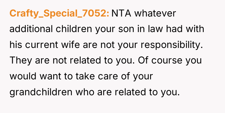 Crafty_Special_7052 NTA whatever additional children your son in law had...