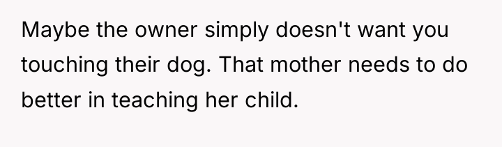 Maybe the owner simply doesn't want you touching their dog....