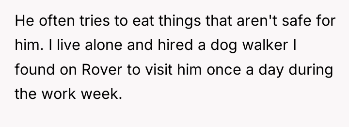 He often tries to eat things that aren't safe for...