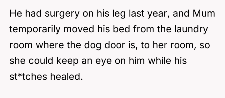 He had surgery on his leg last year, and Mum...