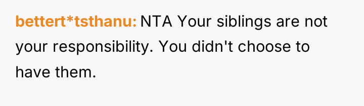 bettert*tsthanu NTA Your siblings are not your responsibility. You didn't...