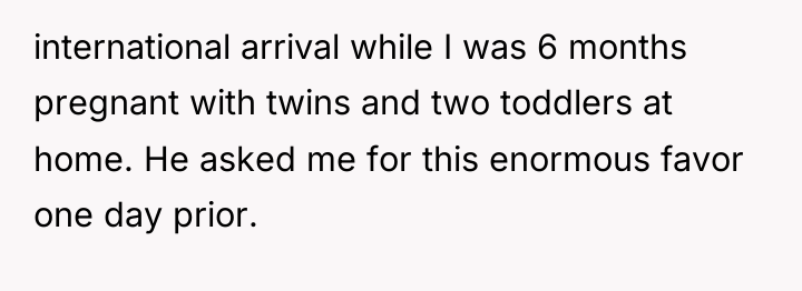 international arrival while I was 6 months pregnant with twins...
