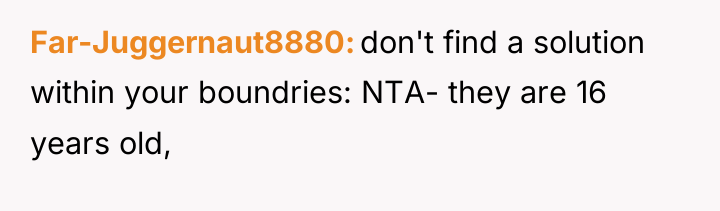 Far-Juggernaut8880 don't find a solution within your boundries: NTA- they...