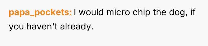 papa_pockets I would micro chip the dog, if you haven't...