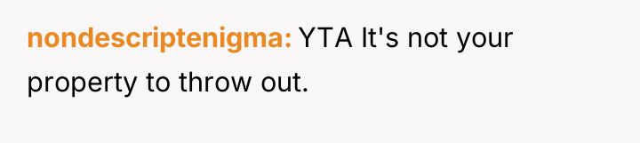 nondescriptenigma YTA It's not your property to throw out.