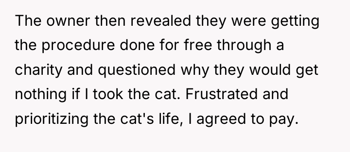 The owner then revealed they were getting the procedure done...