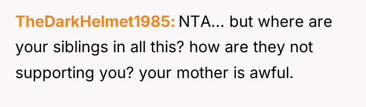 TheDarkHelmet1985 NTA... but where are your siblings in all this?...