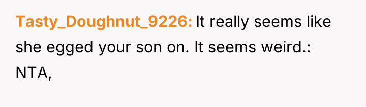 Tasty_Doughnut_9226 It really seems like she egged your son on....