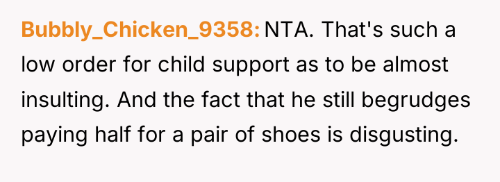 Bubbly_Chicken_9358 NTA. That's such a low order for child support...