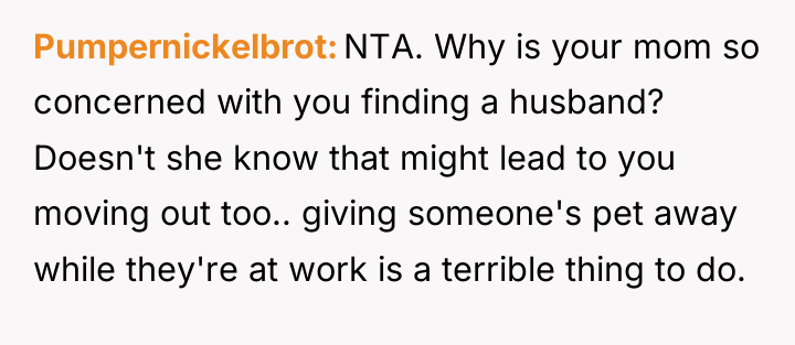 Pumpernickelbrot NTA. Why is your mom so concerned with you...