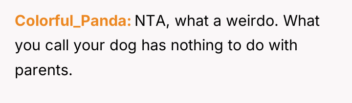 Colorful_Panda NTA, what a weirdo. What you call your dog...