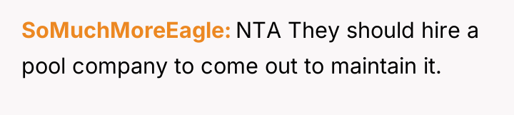 SoMuchMoreEagle NTA They should hire a pool company to come...