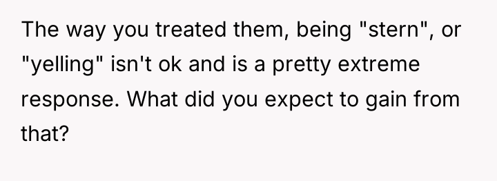 The way you treated them, being "stern", or "yelling" isn't...