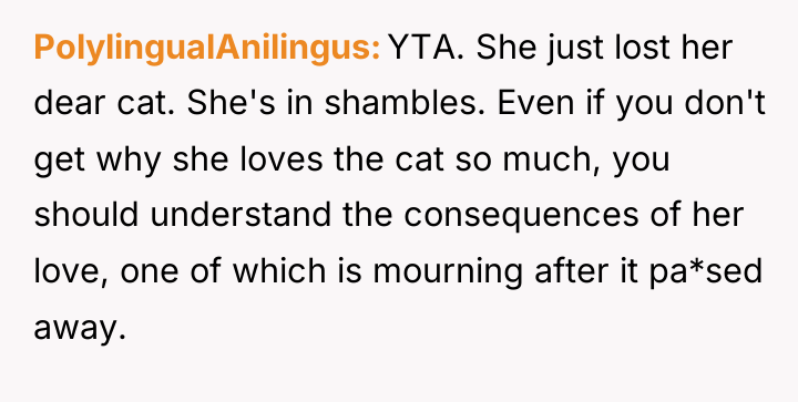 PolylingualAnilingus YTA. She just lost her dear cat. She's in...