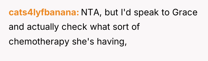cats4lyfbanana NTA, but I'd speak to Grace and actually check...