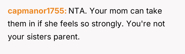 capmanor1755 NTA. Your mom can take them in if she...