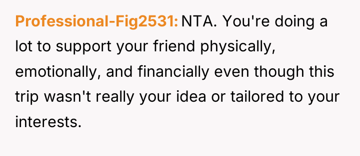 Professional-Fig2531 NTA. You're doing a lot to support your friend...