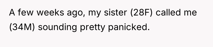 A few weeks ago, my sister (28F) called me (34M)...