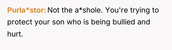 Purla*stor Not the a*shole. You're trying to protect your son...