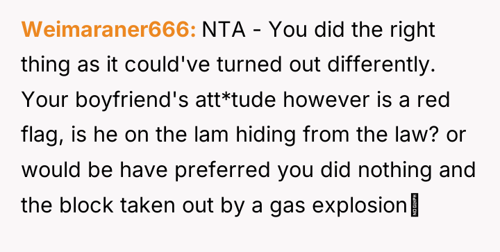 Weimaraner666 NTA - You did the right thing as it...