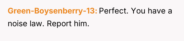 Green-Boysenberry-13 Perfect. You have a noise law. Report him.
