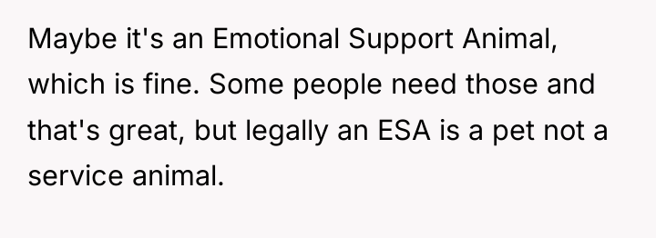 Maybe it's an Emotional Support Animal, which is fine. Some...